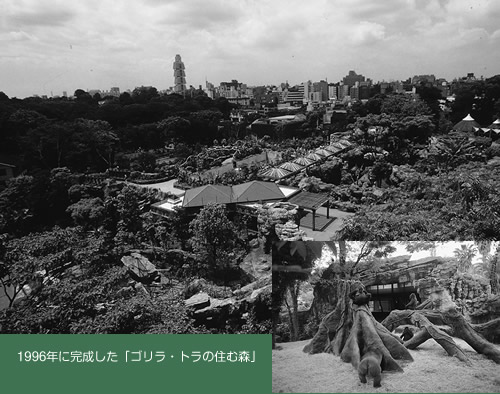 1996年に完成した「ゴリラ・トラの住む森」